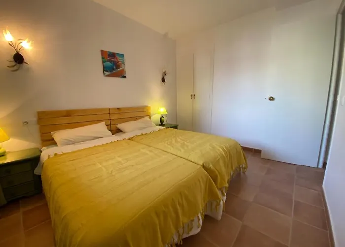 Cavall Bernat 普拉加德阿罗